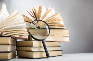 На книжную полку госслужащего